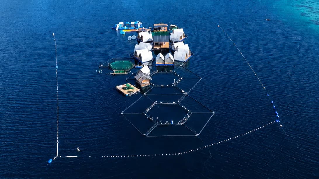 Aerial photograph of the Reef Resort from a distance: the tented platforms and solar array clustered at the centre, an inflatable water park moored alongside, and two large empty hexagonal pens in the foreground, all on open blue water