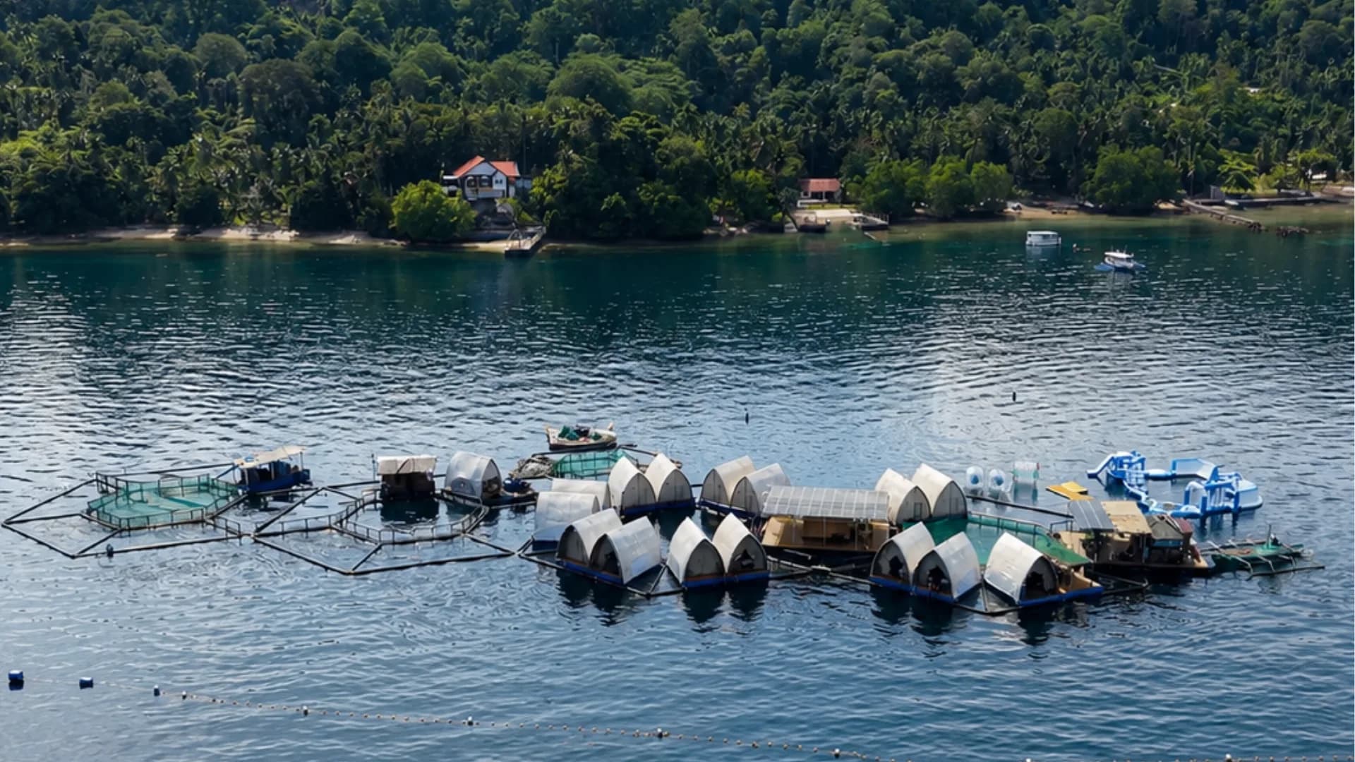The Reef Resort photographed from further out and lower, the full cluster of tented platforms and fish pens sitting on calm water with the forested shoreline of Samal Island and its houses behind